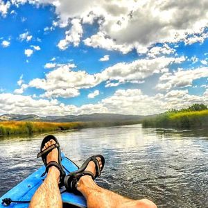 Meet your Posher, Brady